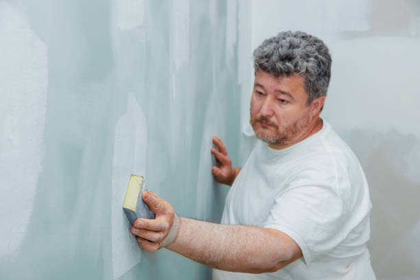 Best Mold Odor Removal Services  in Lauderdale By The Sea, FL
