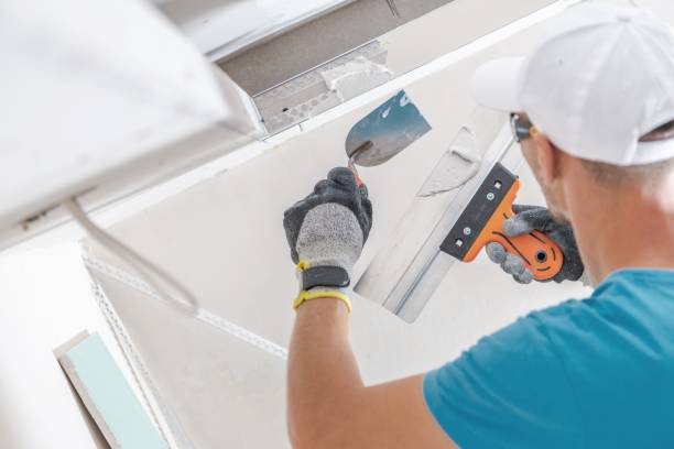 Lauderdale By The Sea, FL Mold Removal Company